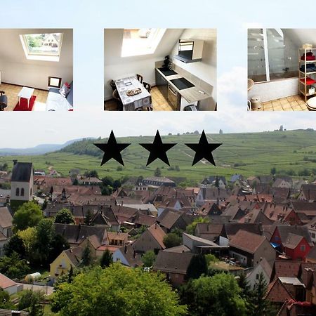 Gite Des 5 Cigognes Rouge Mittelwihr Luaran gambar