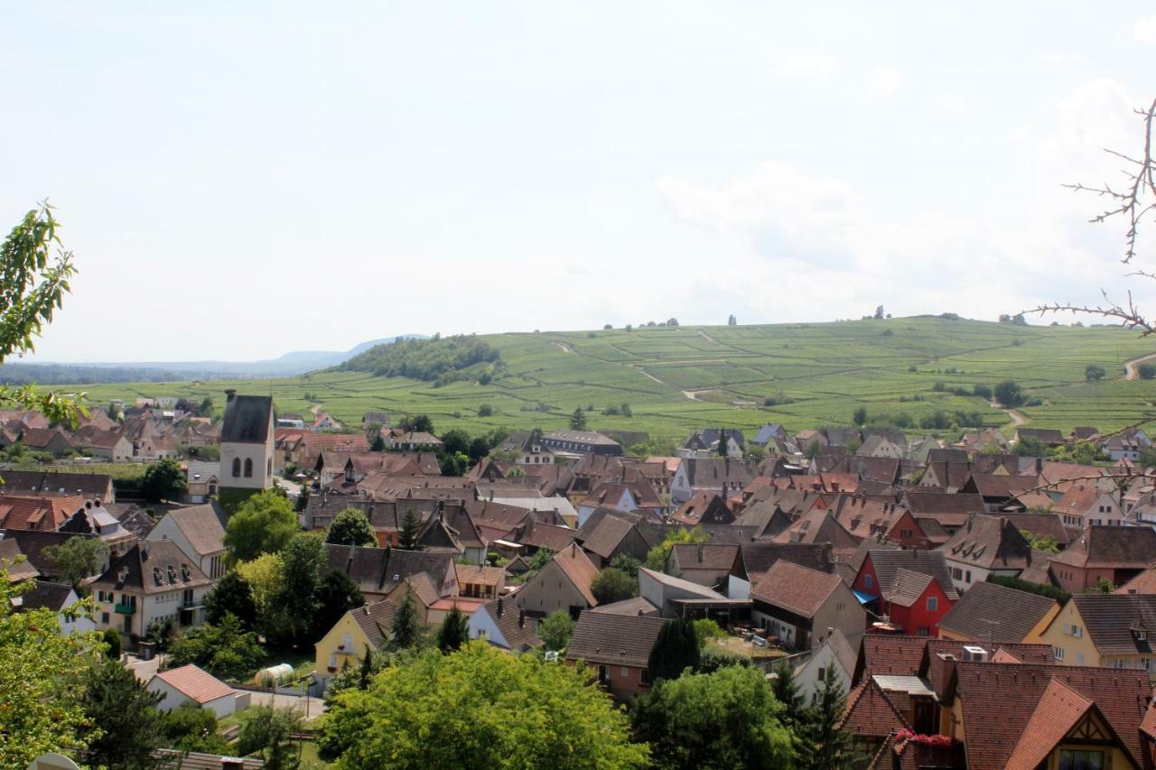 Gite Des 5 Cigognes Rouge Mittelwihr Luaran gambar